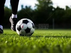 三浦春马疑,遇他杀事件,发酵,巅峰国际娱乐集团,巅峰国际娱乐,超凡国际,巅峰国际娱乐官方,巅峰国际娱乐登录