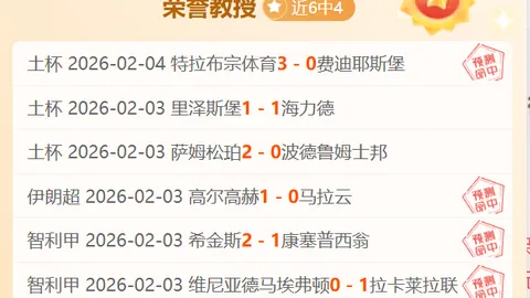新疆文化代表团赴埃及展成就风采